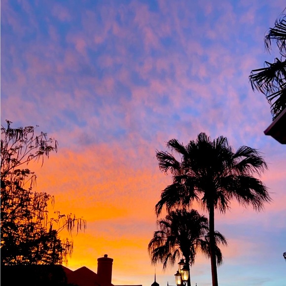 Meet your Posher, Paige - Picture 1 of 1